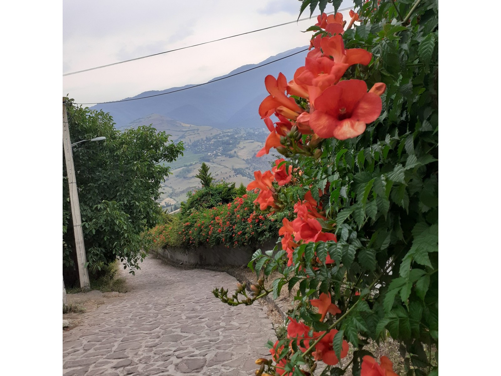 ورودی اقامتگاه