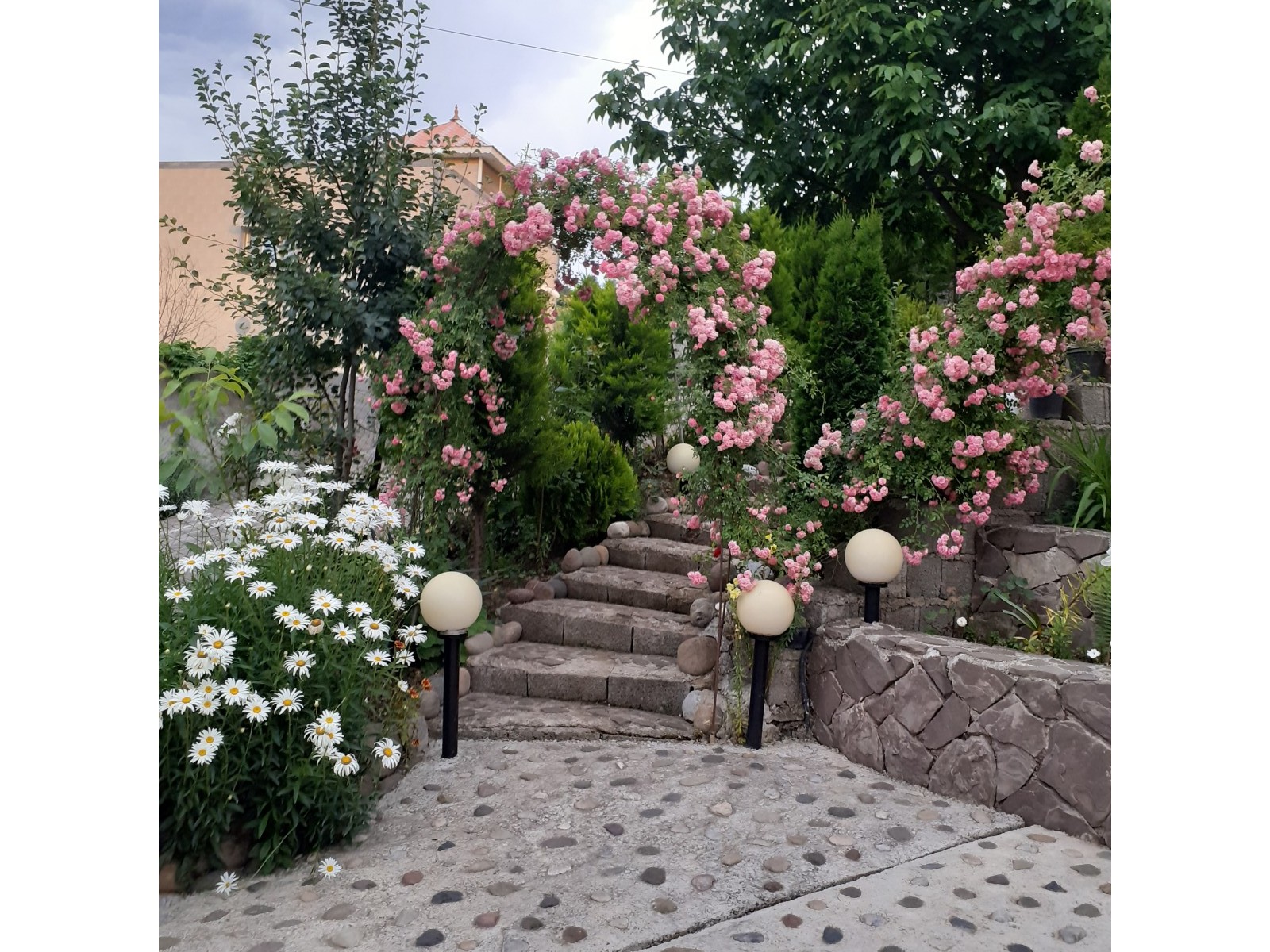 حیاط