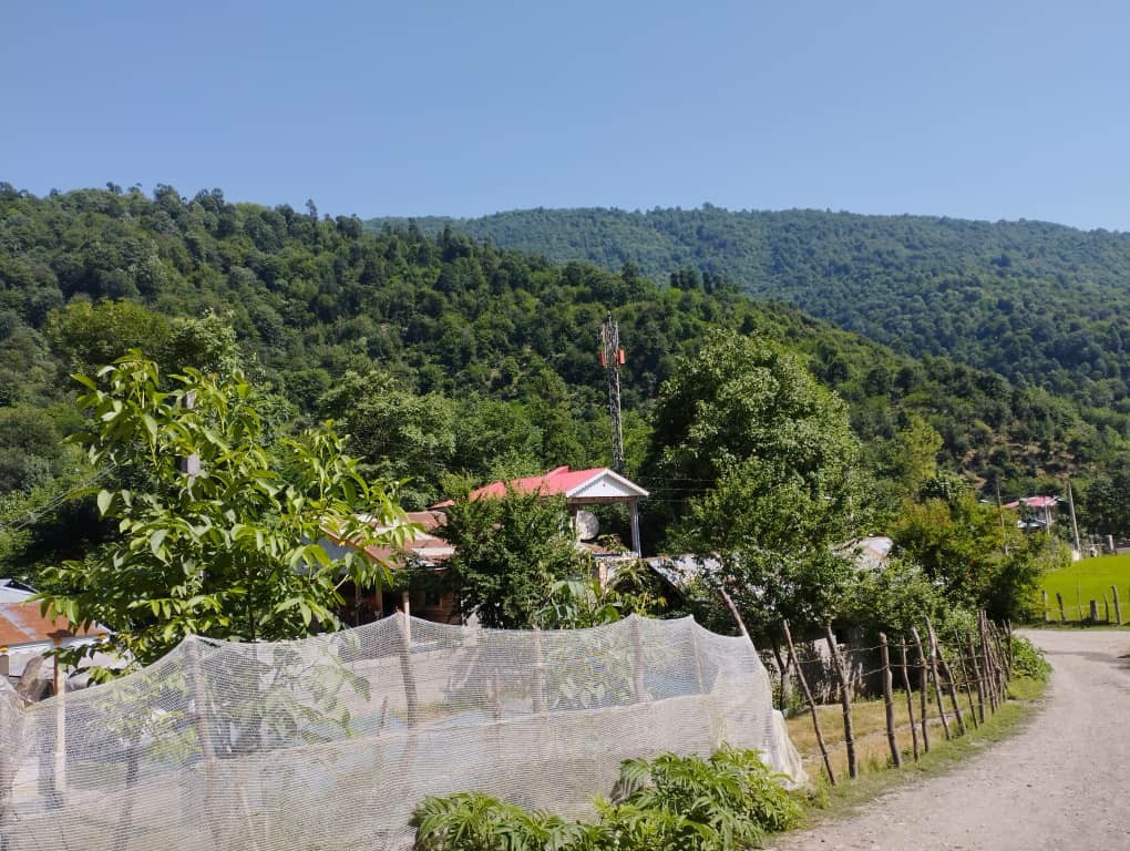 فضای اطراف اقامتگاه فضای اطراف اقامتگاه