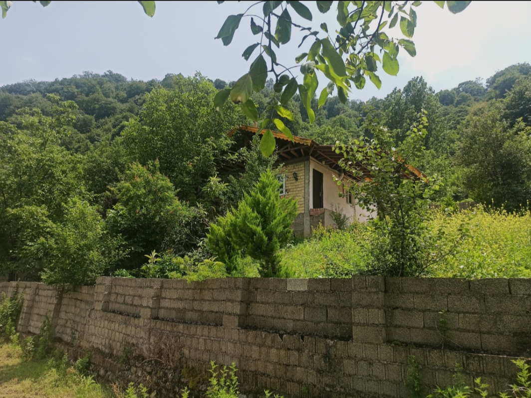 نمای حیاط