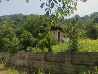 ویلا جنگلی دوخوابه امین