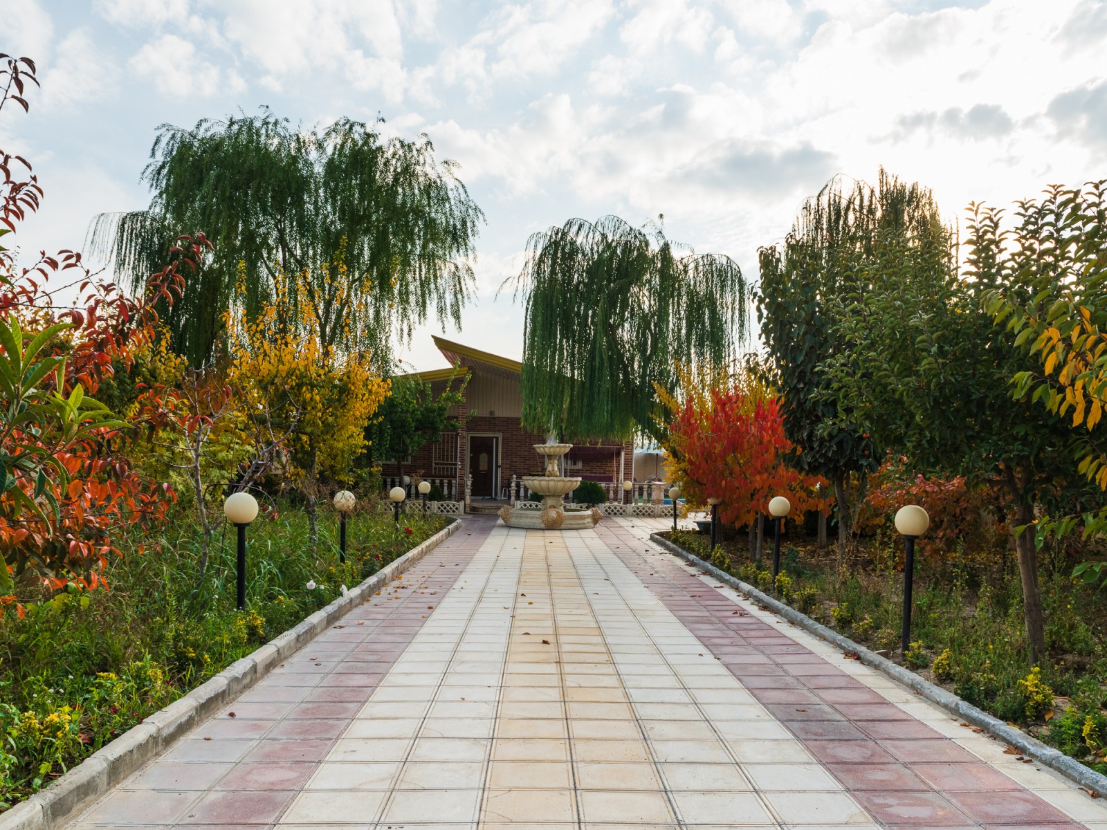 حیاط