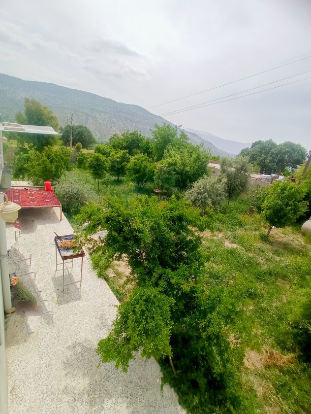چشم انداز