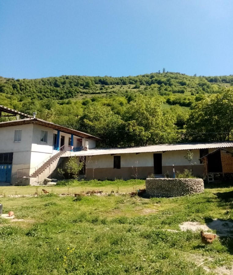 نمای ساختمان نمای ساختمان