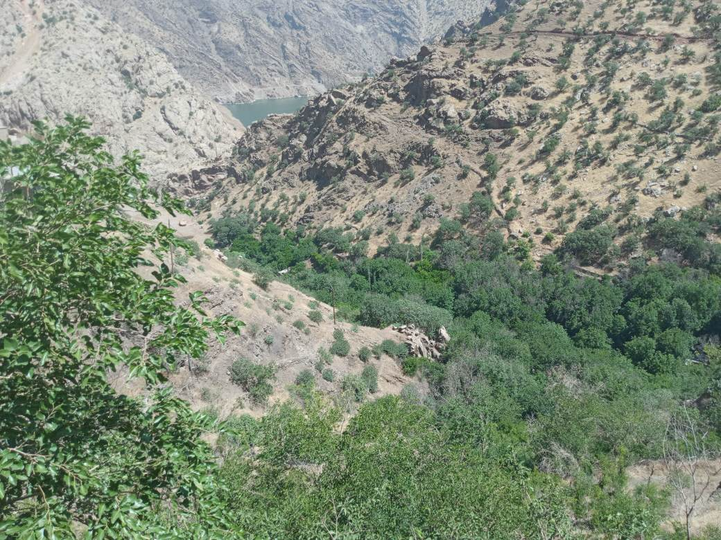 ویو ی ساختمان روب سد