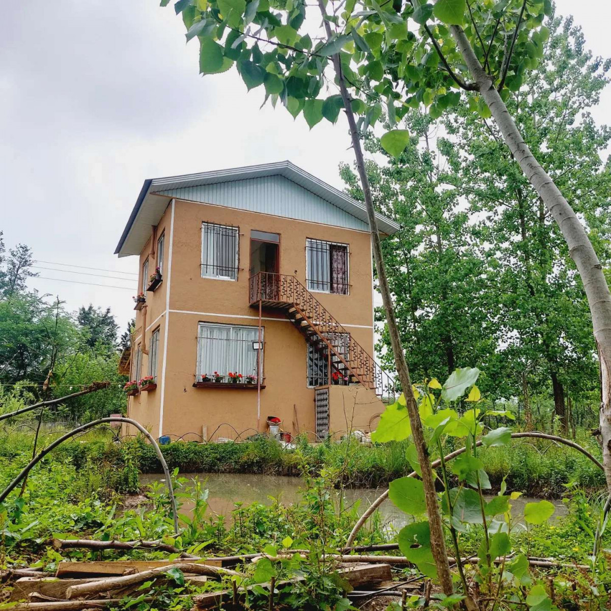 نمای ساختمان