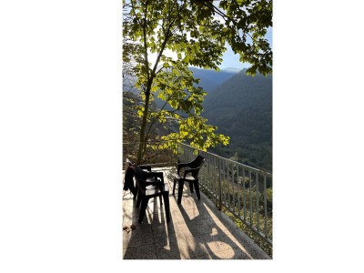 واحد دوخوابه با تراس رو به جنگل واحد دوخوابه با تراس رو به جنگل