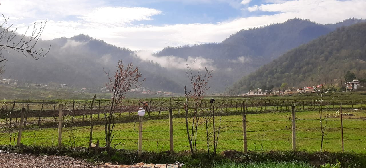 چشم انداز چشم انداز