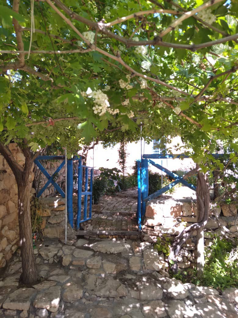 حیاط