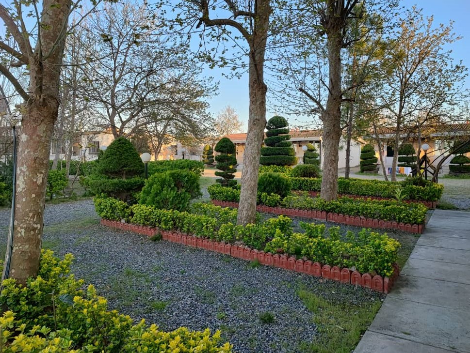 محوطه حیاط