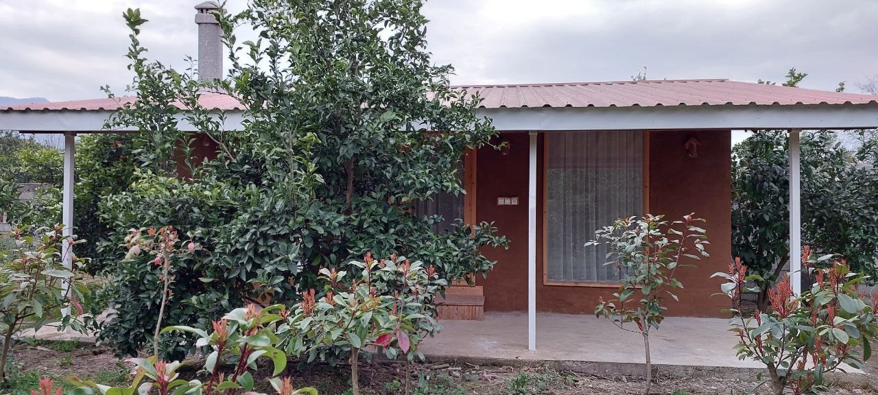 نمای ساختمان نمای ساختمان