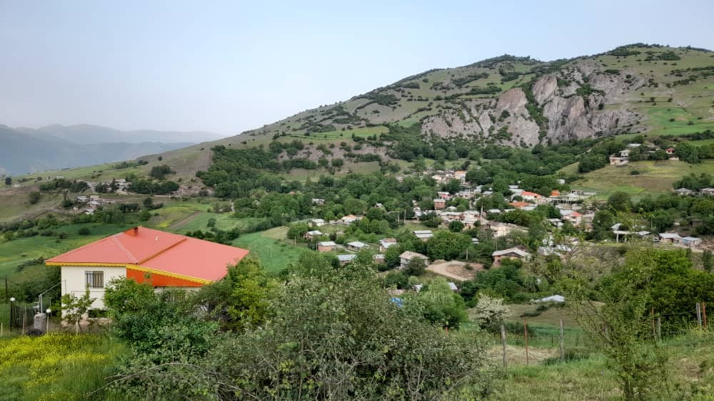 ویو کلی
