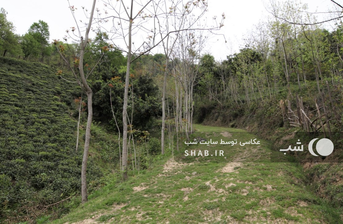 محوطه اطراف اقامتگاه