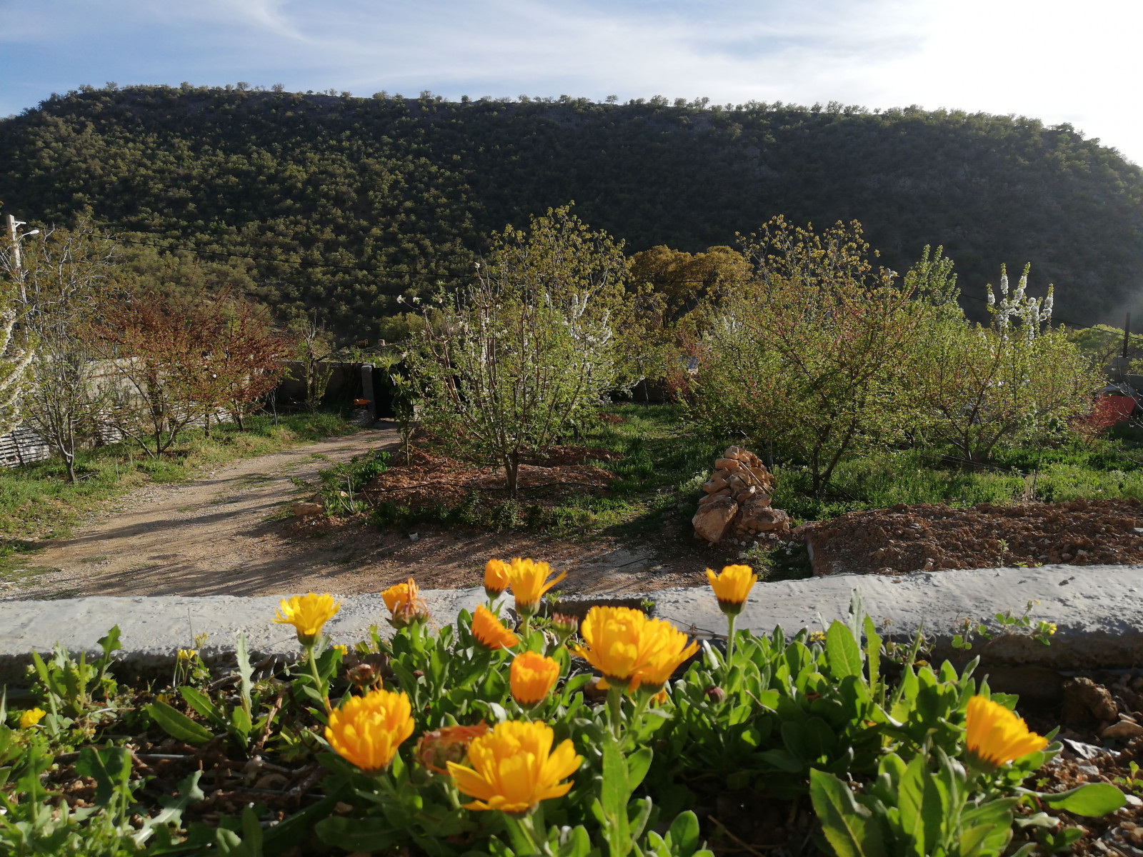 چشم انداز سوئیت چشم انداز سوئیت