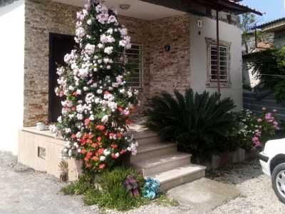 ویلا دربست آوای طبیعت
