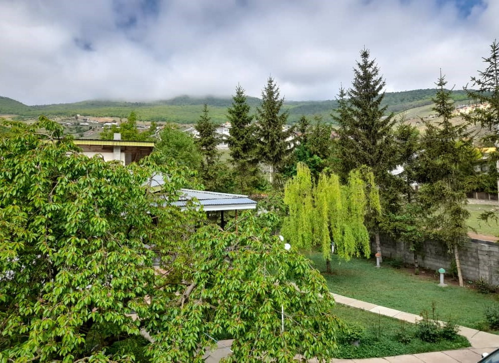 محوطه حیاط
