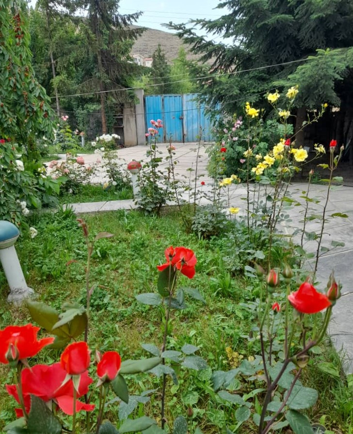 محوطه حیاط