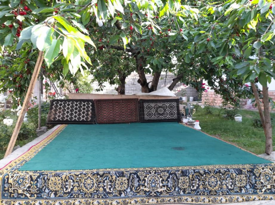 حیاط