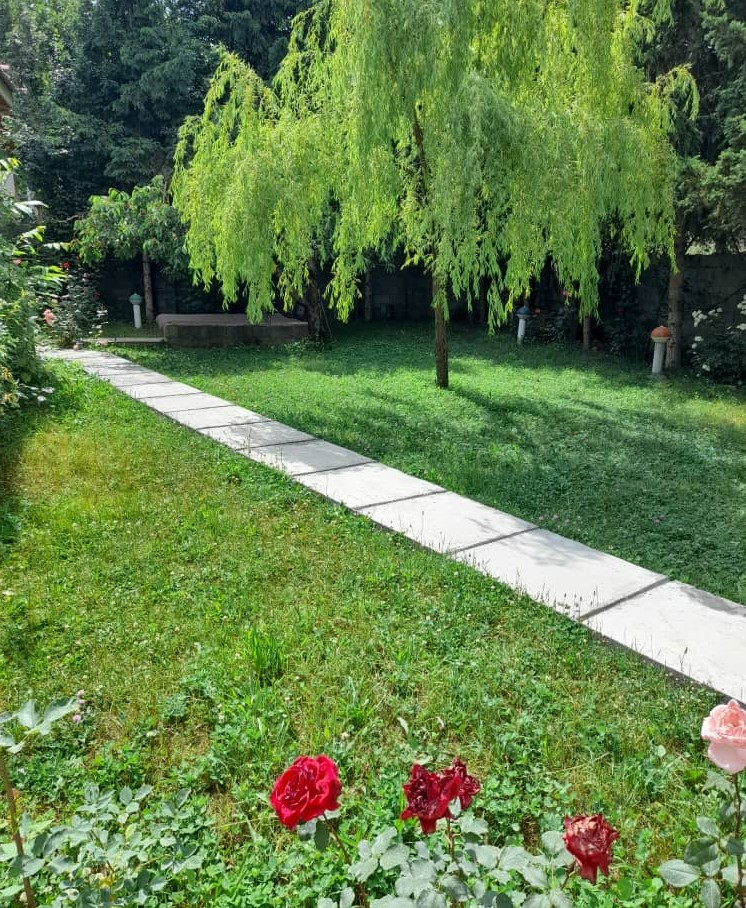 محوطه حیاط