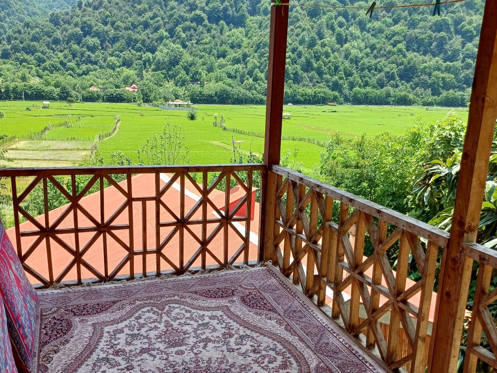 نمای ساختمان نمای ساختمان