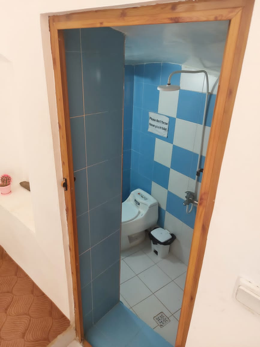سرویس بهداشتی