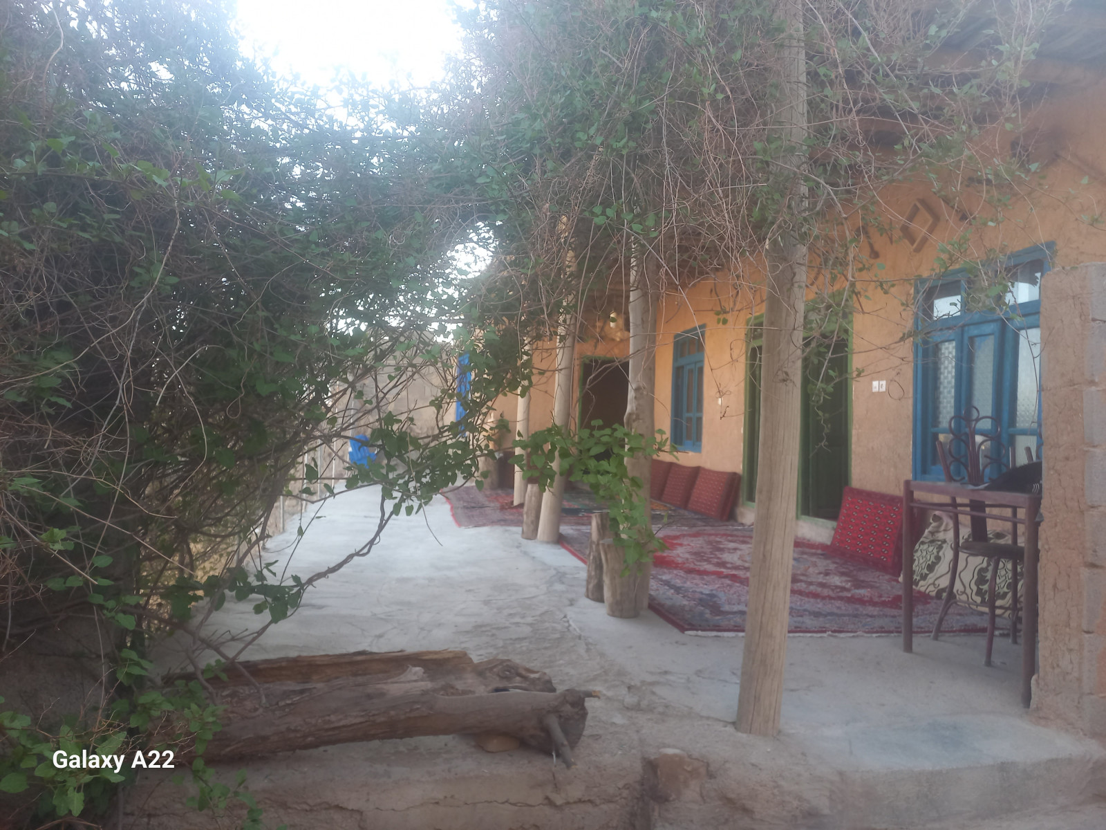 حیاط