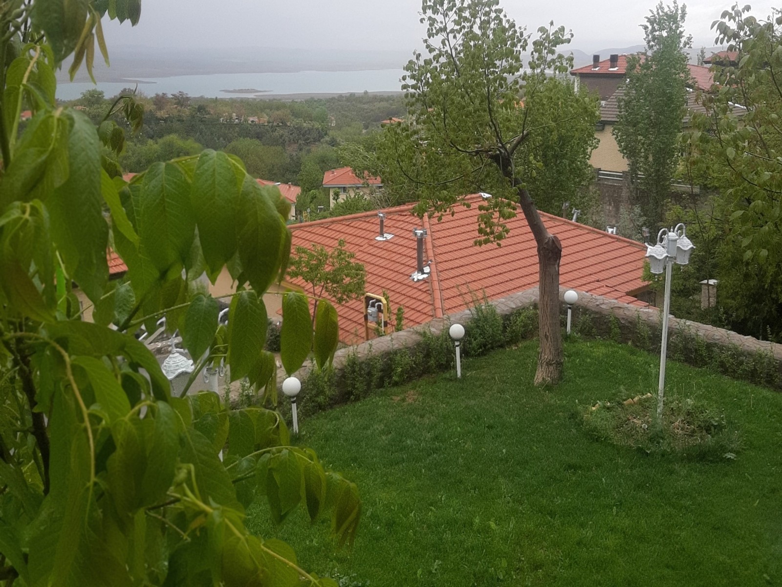 فضای سبز