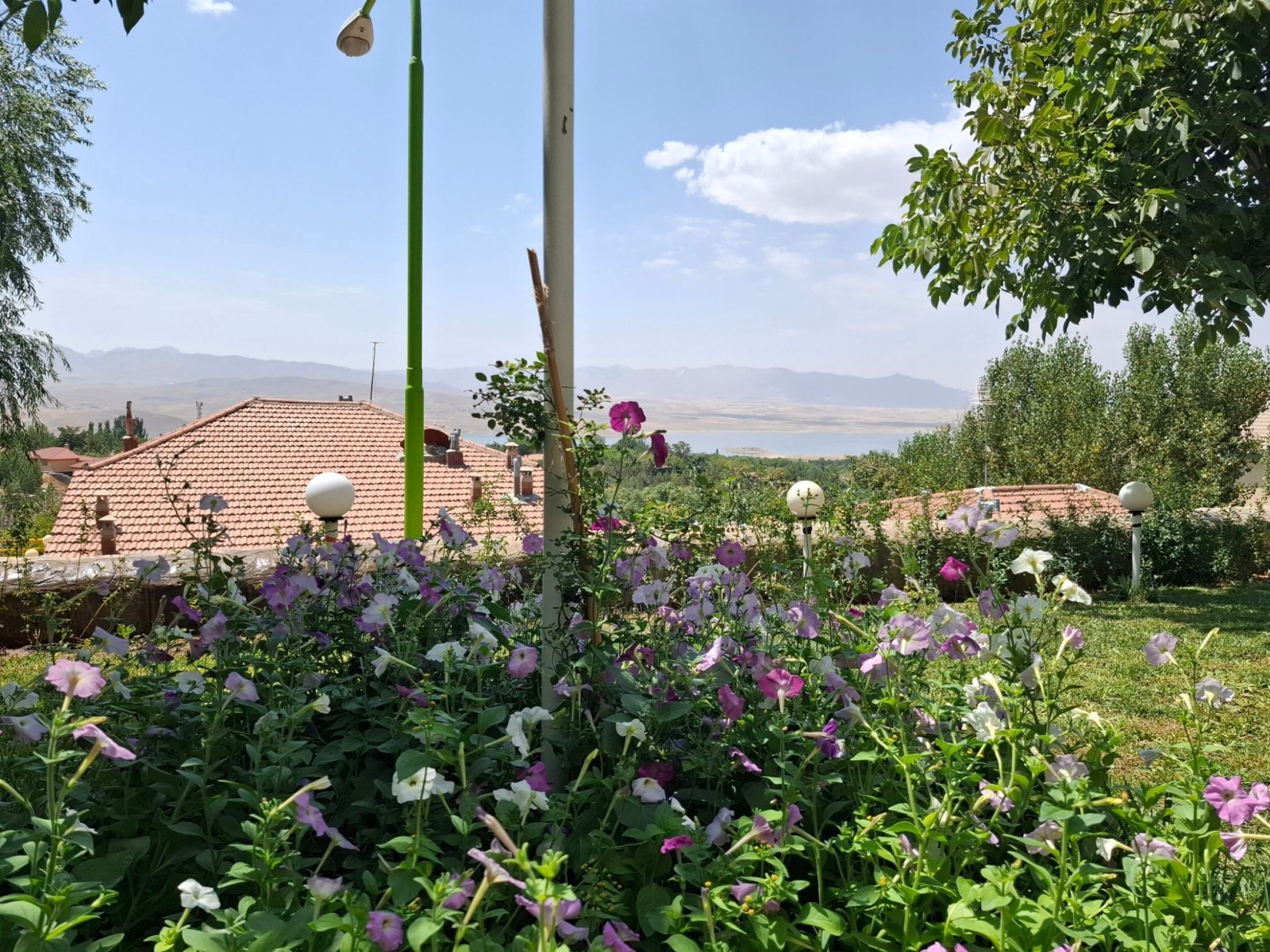 محوطه