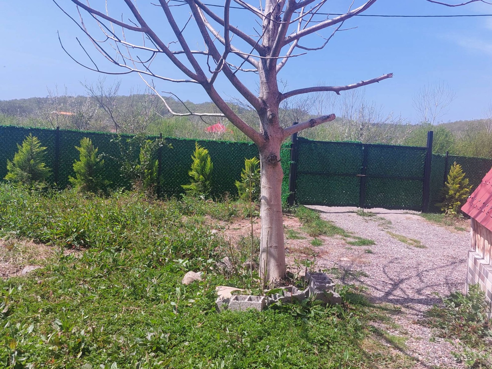 نمای بیرونی ساختمان نمای بیرونی ساختمان