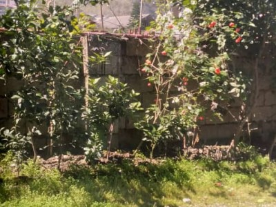 ویلای دو خوابه با دسترسی مطلوب