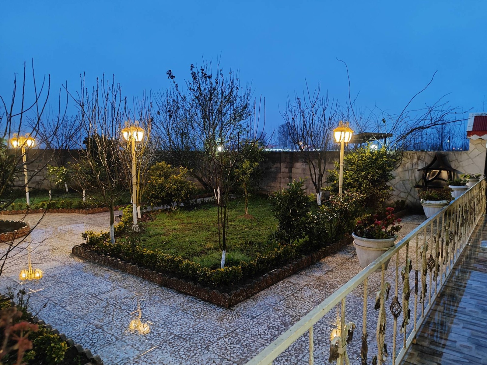 حیاط مملو از درختان میوه حیاط مملو از درختان میوه