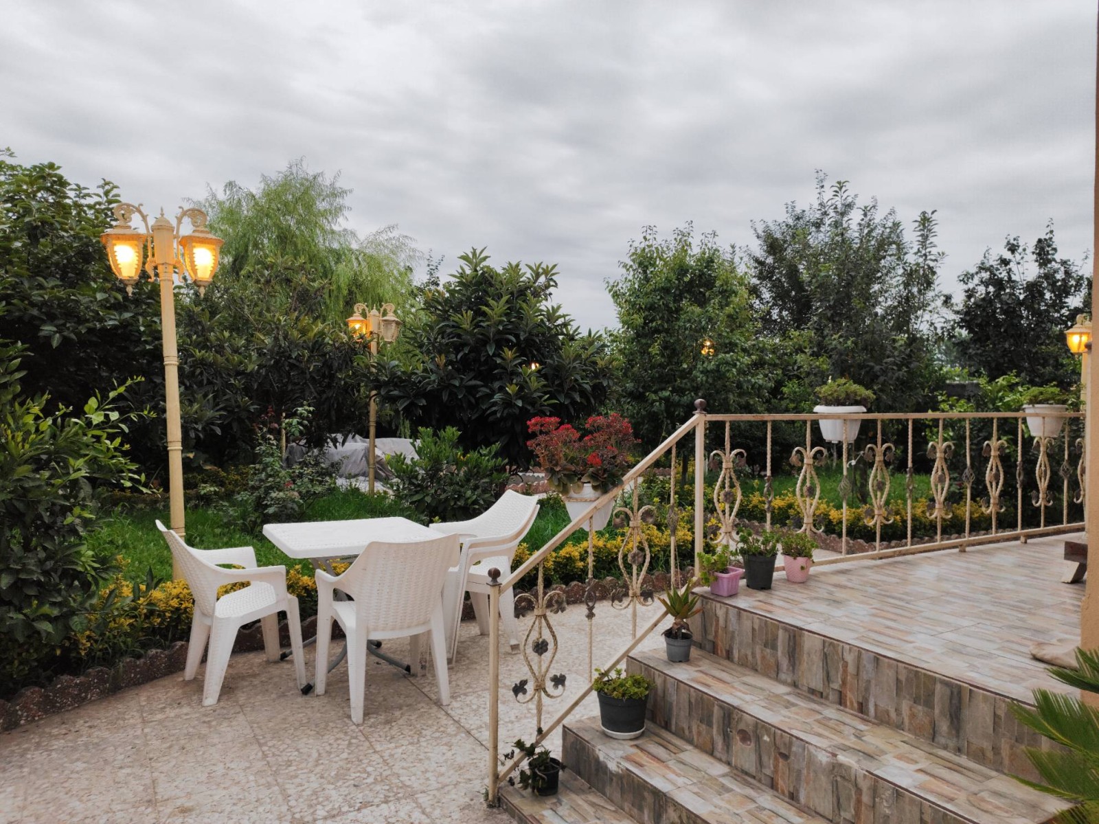 حیاط زیبا و مملو از درختان میوه حیاط زیبا و مملو از درختان میوه