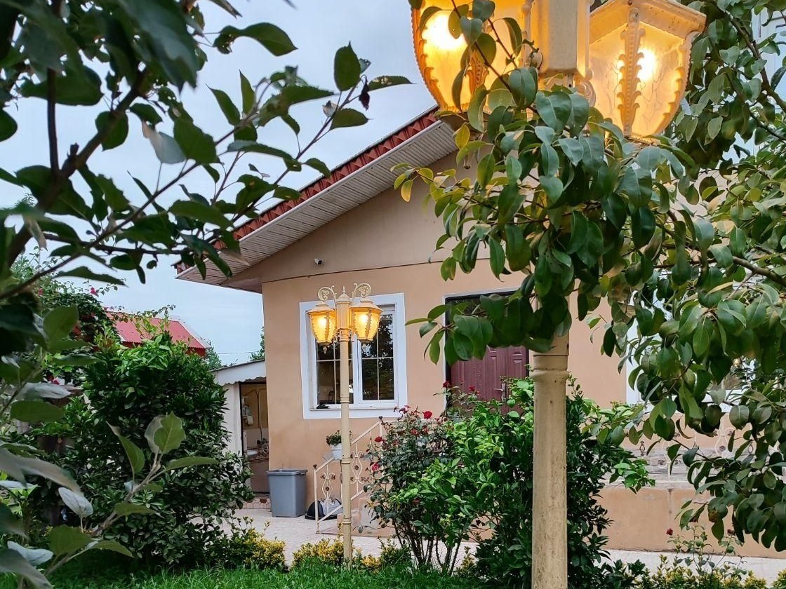 حیاط زیبا و مملو از درختان میوه حیاط زیبا و مملو از درختان میوه