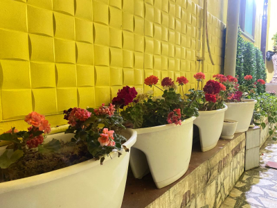 واحد دربست و مبله در مرکز شهر