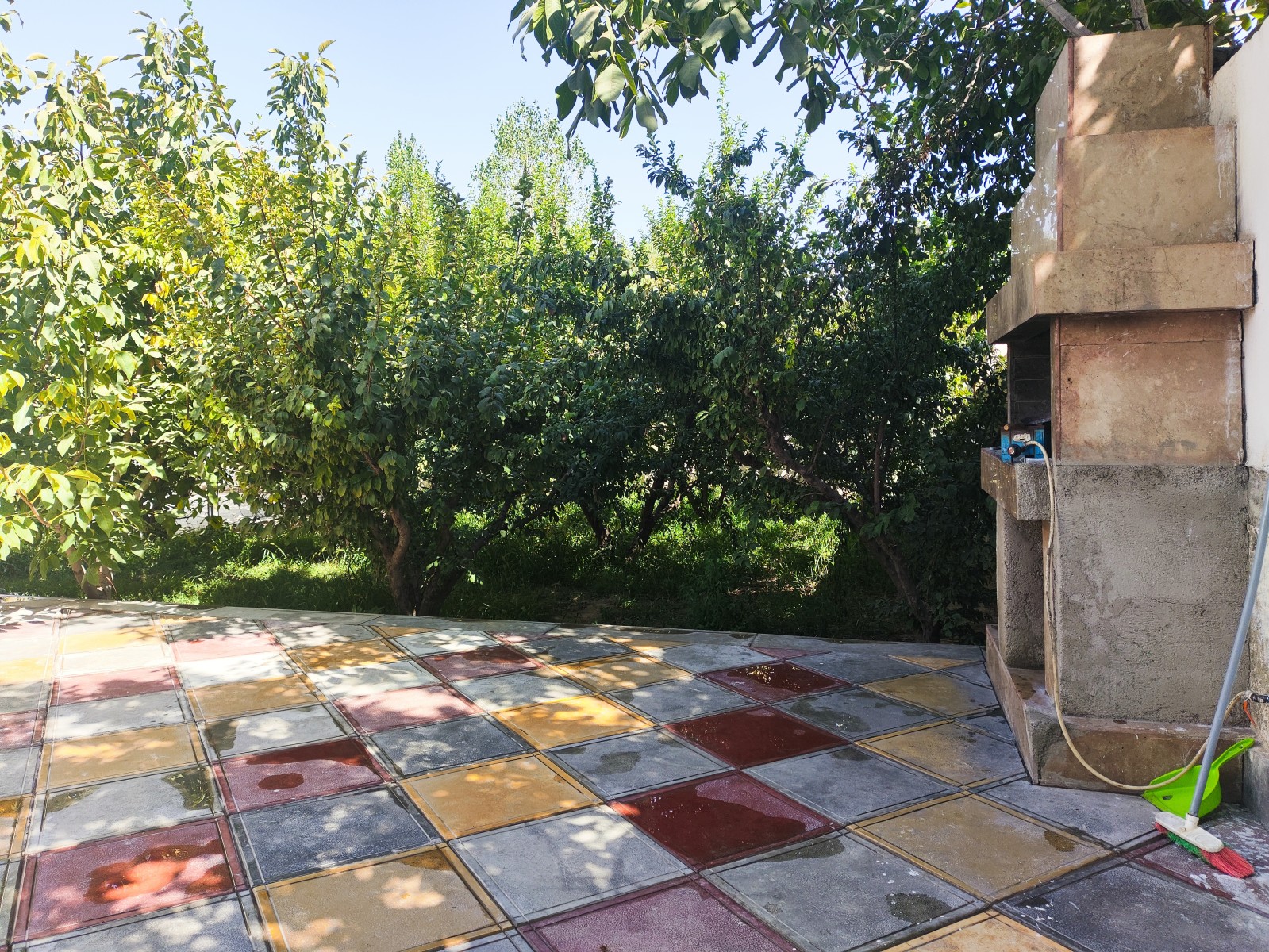 باربیکیو