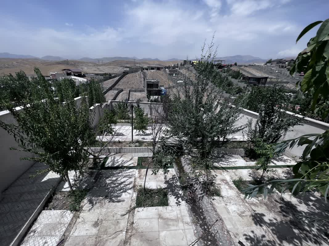 درختان میوه