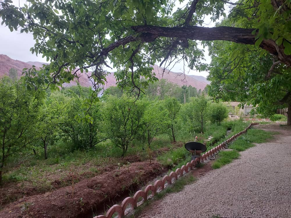 حیاط