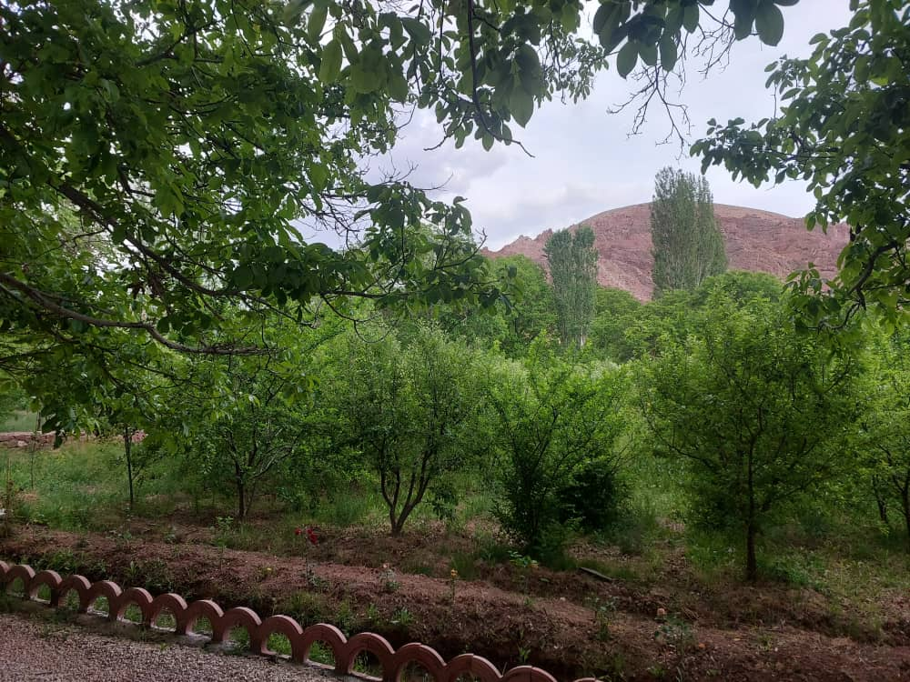 حیاط