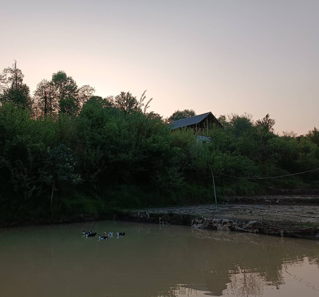 نمای بیرون کلبه