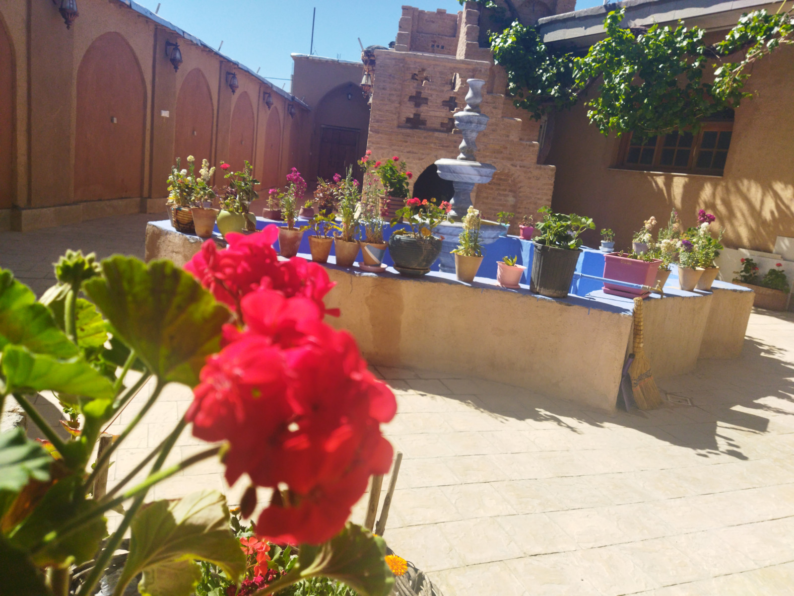 حیاط