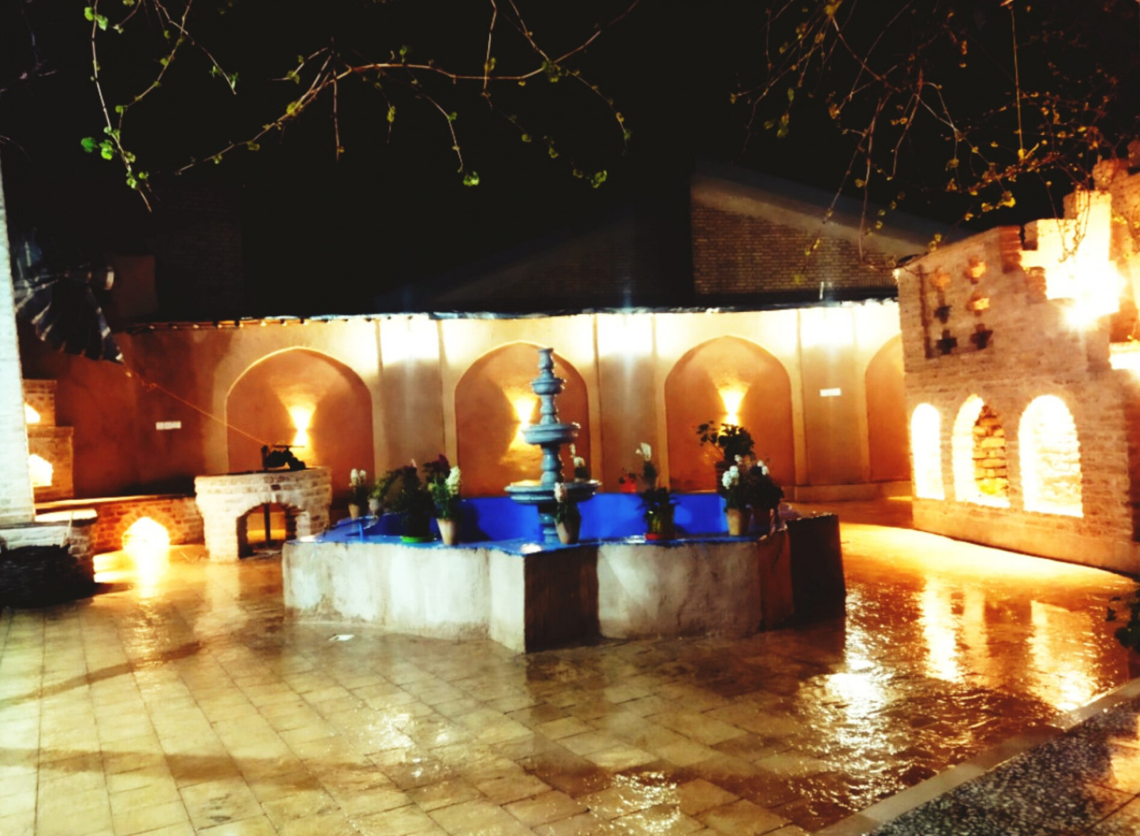 حیاط