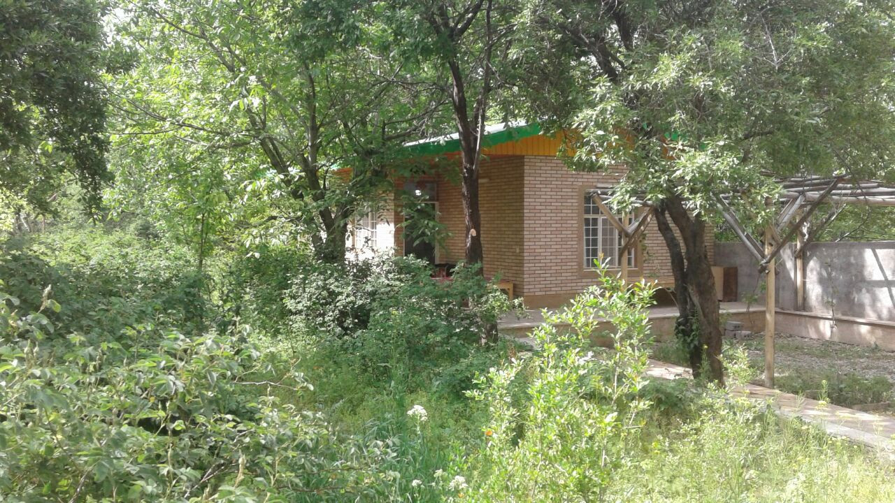 نمای ساختمان