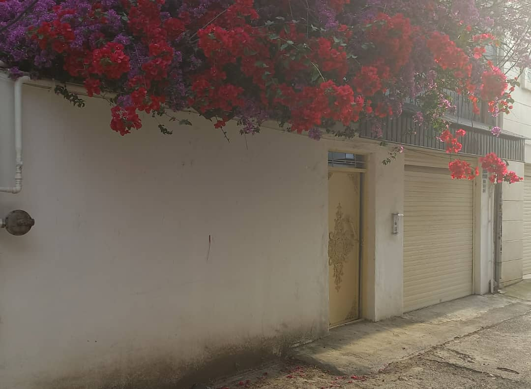 نمای ساختمان