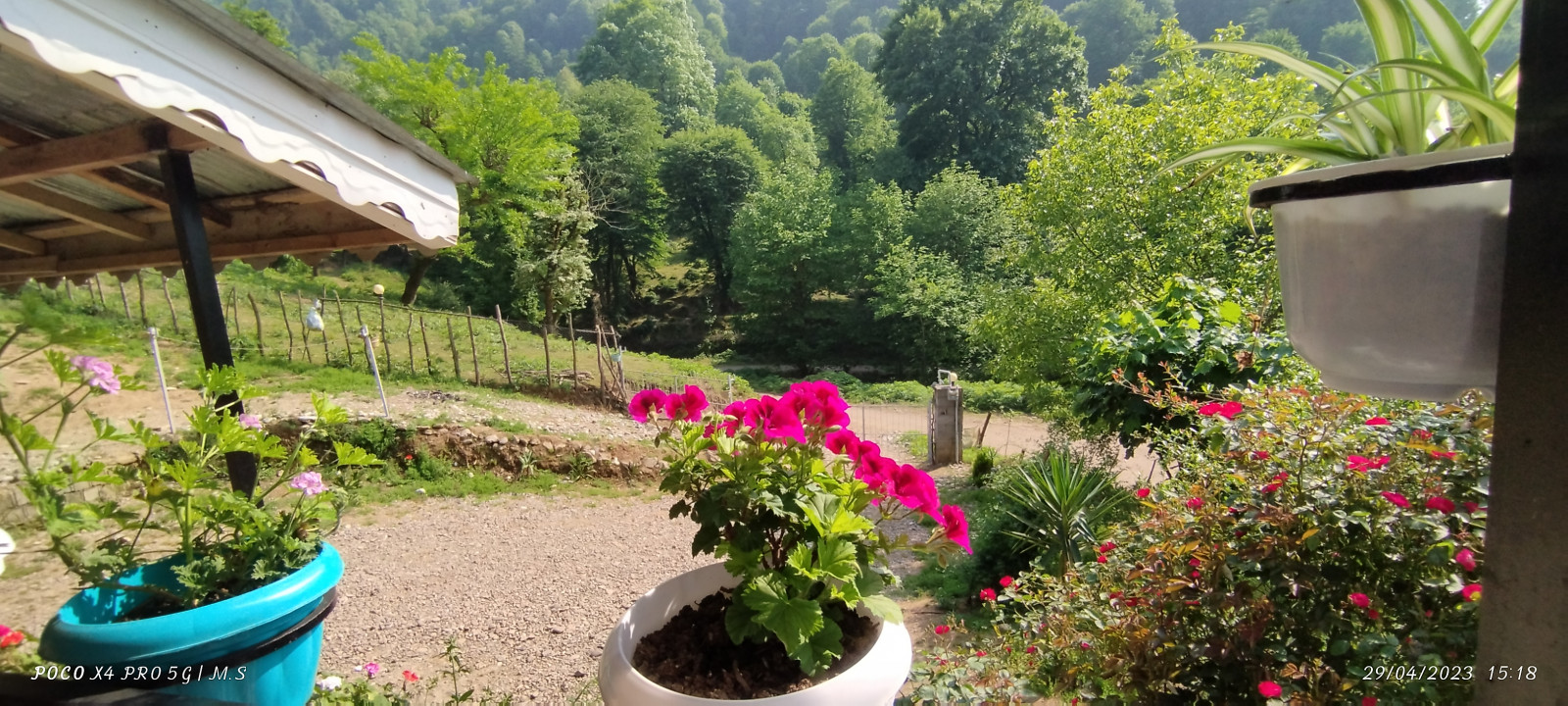 محوطه محوطه