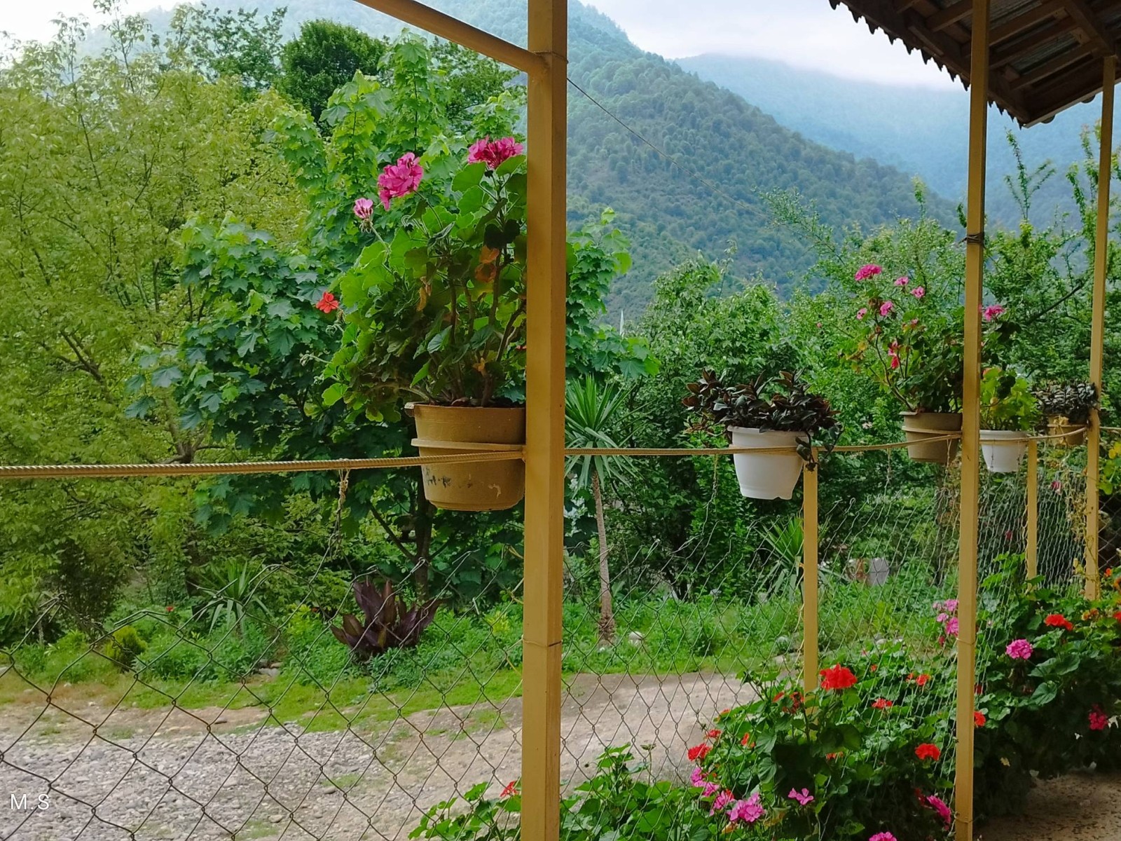 نمای بیرون نمای بیرون