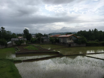 ویلای دلنشین و راحت گل شمعدونی