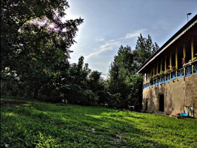 ویلای سنتی تک خواب جنگلی
