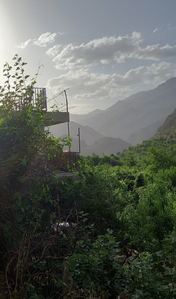 ویوی تابستانه