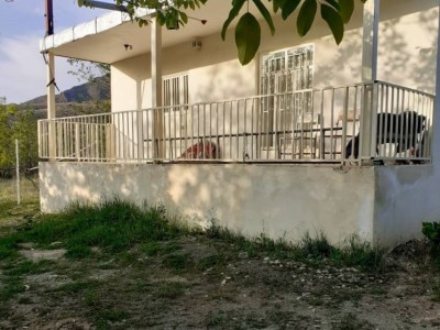سوئیت نقلی جنگلی با حیاطی دربست