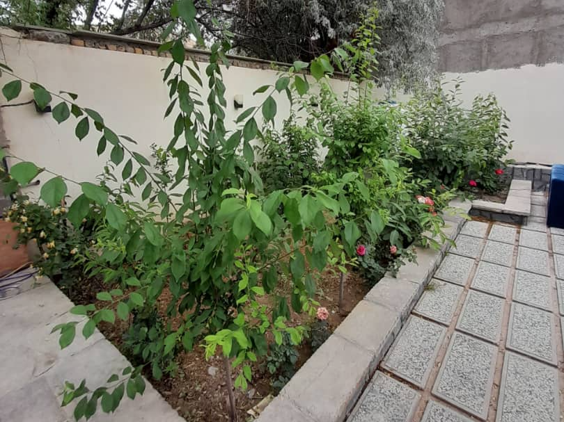 نمای بیرونی ساختمان نمای بیرونی ساختمان